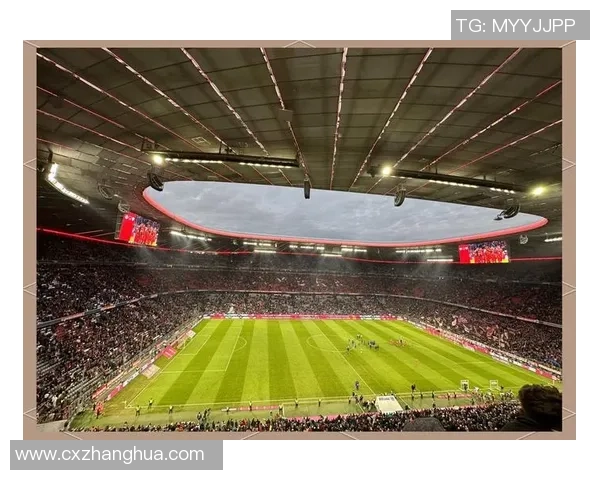 足球明星与粉丝互动激烈引热议 球场上意外碰撞引发关注